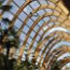 architectural photographer, Sheffield winter gardens, wooden beams, glass and glazing, public buildings